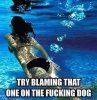 dogfart.jpg