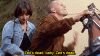 CautiousBronzeAtlanticridleyturtle-max-1mb.gif
