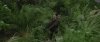 images (9).jpeg