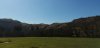 IMG_20220320_131800.jpg