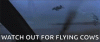 wow-omg.gif