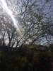 20220324_132744_copy_856x1141.jpg