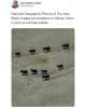 image.thumb.png.d8e2e378873e2260c9f04f3516ac3e21.png