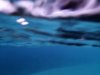 D2F6BA2F-D7D2-41EA-B58D-50FAEFFE306B.jpeg