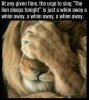 FB_IMG_1648741067222.jpg