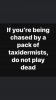FB_IMG_1649691752466.jpg