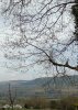 IMG_20220421_144121.jpg
