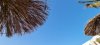 20220424_160428.jpg