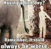 FB_IMG_1651566641284.jpg