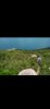 Screenshot_2022-06-01-14-13-50-606_com.alensw.PicFolder.jpg