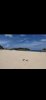 Screenshot_2022-06-01-14-12-41-617_com.alensw.PicFolder.jpg