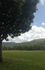 IMG_20220611_150137.jpg