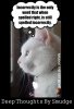 FB_IMG_1655583813340.jpg