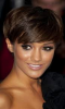 shorthair1.png