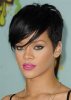 shorthair2.jpg