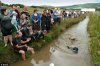 bog snorkel2.jpg