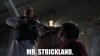 07d56cf8-f25b-41a7-adca-27e7ff527783_text.gif