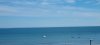 20220801_142038.jpg