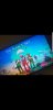 Screenshot_20220911-164750_Gallery.jpg
