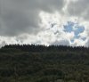 IMG_20220923_140417.jpg