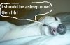 bedtime.jpg