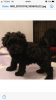 upload_2022-11-28_22-44-4.png