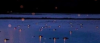 upload_2022-12-10_22-15-41.png