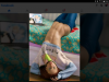 Screenshot_20221231-234202.png