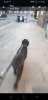 Screenshot_20230128-103239_WhatsApp.jpg