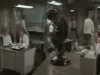 shit-hit-fan-shit-hitting-the-fan.gif