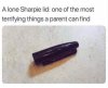 FB_IMG_1677708367616.jpg
