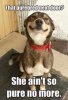 FB_IMG_1679136213911.jpg