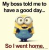 FB_IMG_1679418712365.jpg