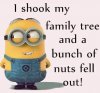 FB_IMG_1680624647596.jpg