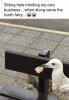 FB_IMG_1680603245051.jpg