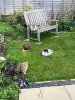 IMG_4666.jpeg