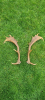 upload_2023-4-24_10-35-30.png