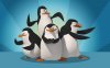 Penguins-of-madagascar-wallpaper-penguins-of-madagascar-7388029-2560-1600.jpg
