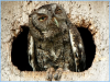 upload_2015-8-25_9-31-11.png