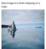 IMG_0198.jpeg