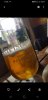 Screenshot_20230519-170625_Gallery.jpg