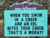FB_IMG_1685362024539.jpg