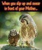 FB_IMG_1685310850389.jpg