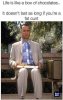 FB_IMG_1685786748215.jpg
