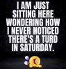 FB_IMG_1684097000501.jpg