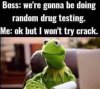FB_IMG_1683987893327.jpg