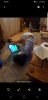 Screenshot_20230612-180044_Gallery.jpg