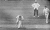 Bodyline-Bouncers-Ashes-Cricket-Opinions.jpg