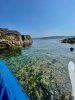 IMG_0043.jpeg