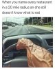 FB_IMG_1688104396556.jpg